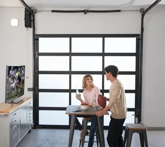 Gecko Garage Doors - LiftMaster Elite Series Jackshaft 98022